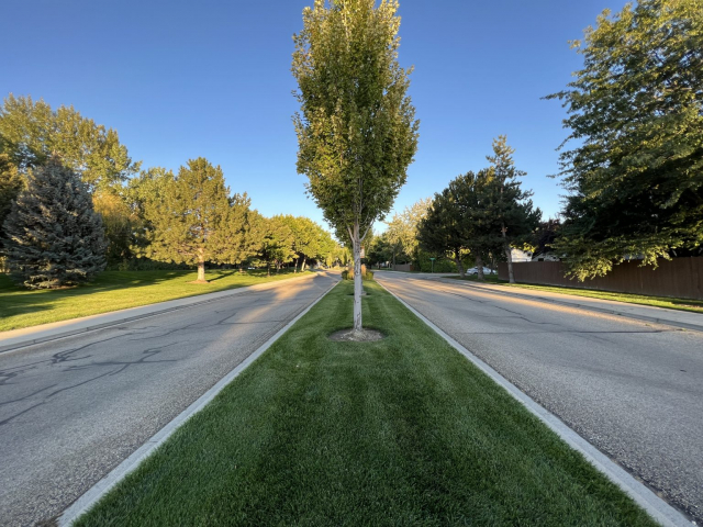 Image of the entrance of the Eagle Springs subdivision.